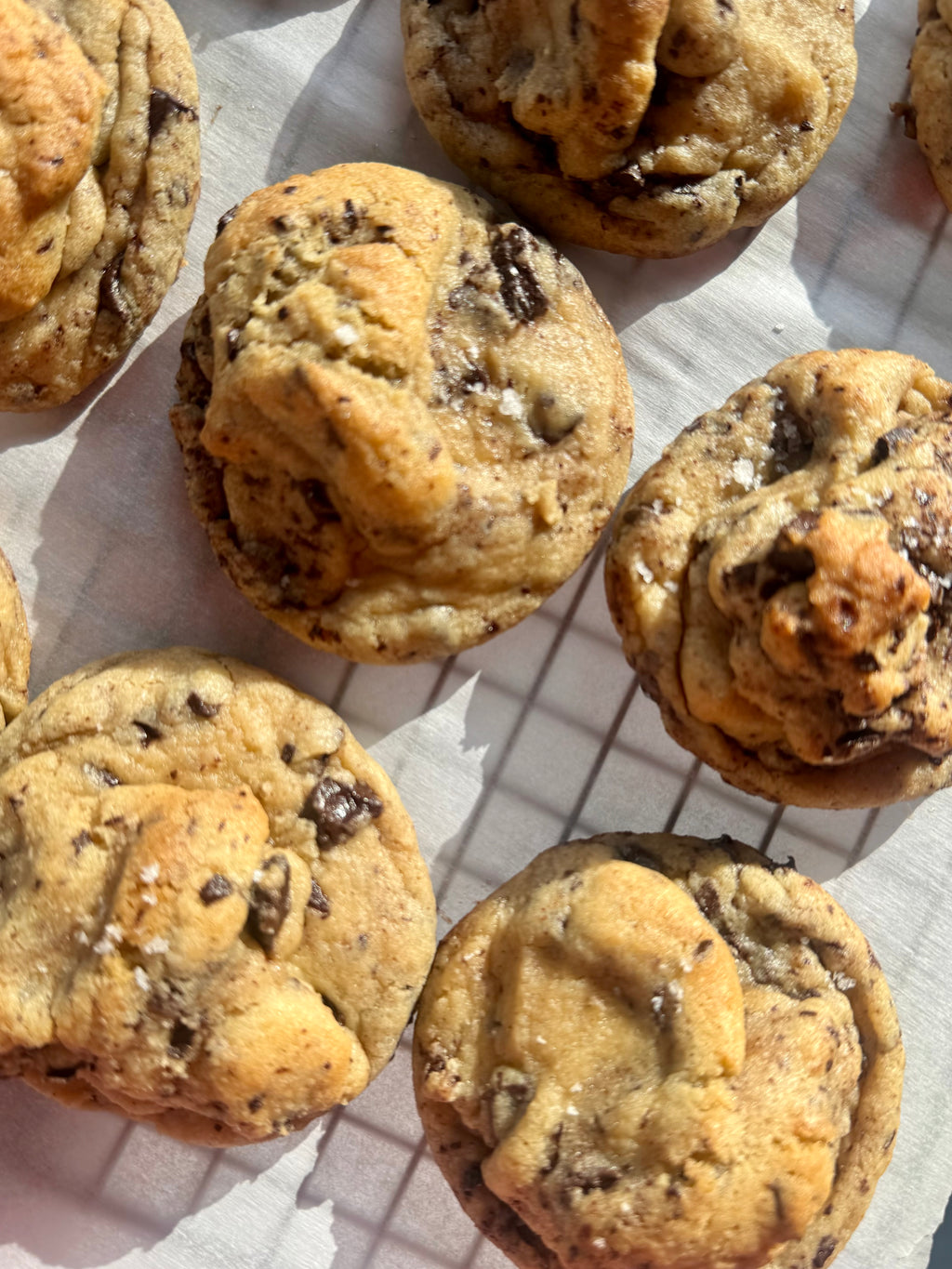 The Gluten-Friendly Collection